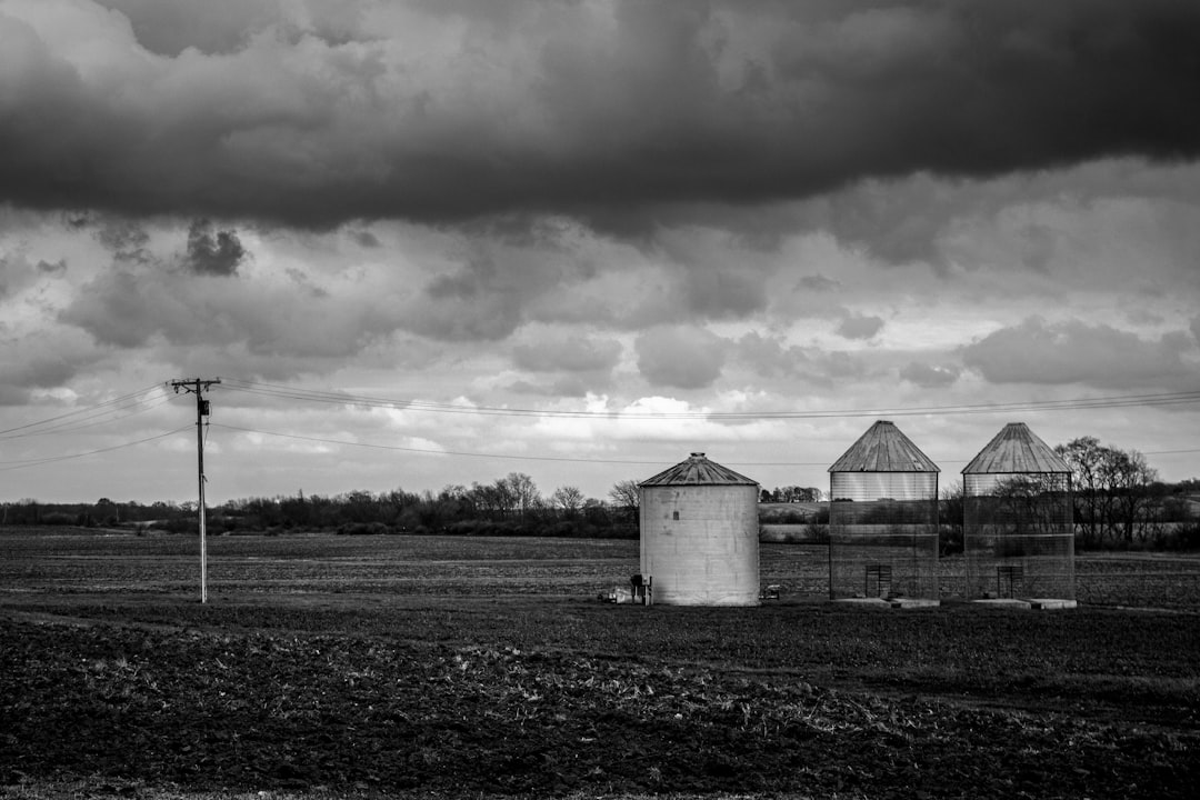 Photo Grain bin